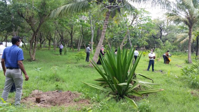 Tree Plantation at GA Bungalow